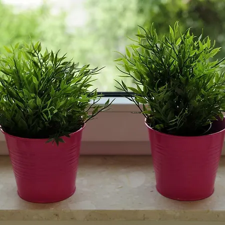 Апартаменты Sleep Well Wroclavia / Dyrekcyjna